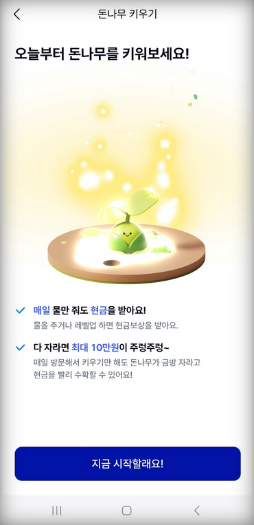 케이뱅크-돈나무-키우기