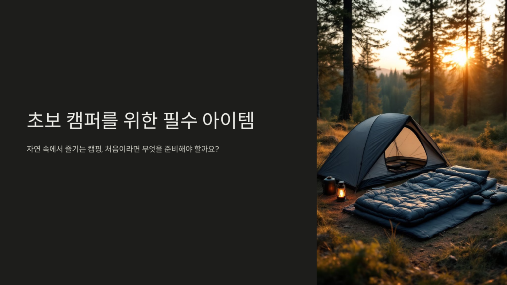 초보-캠퍼-안내