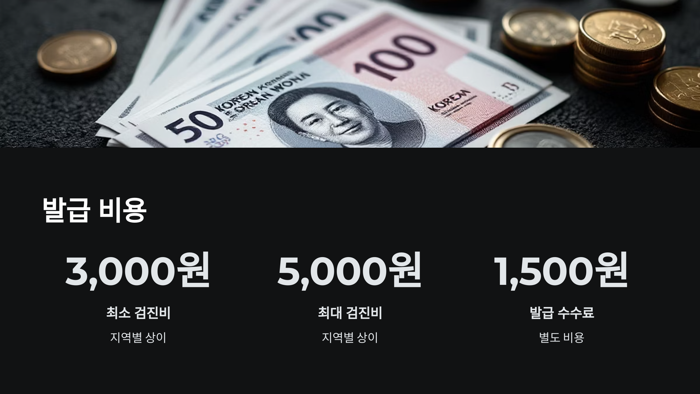 발급비용