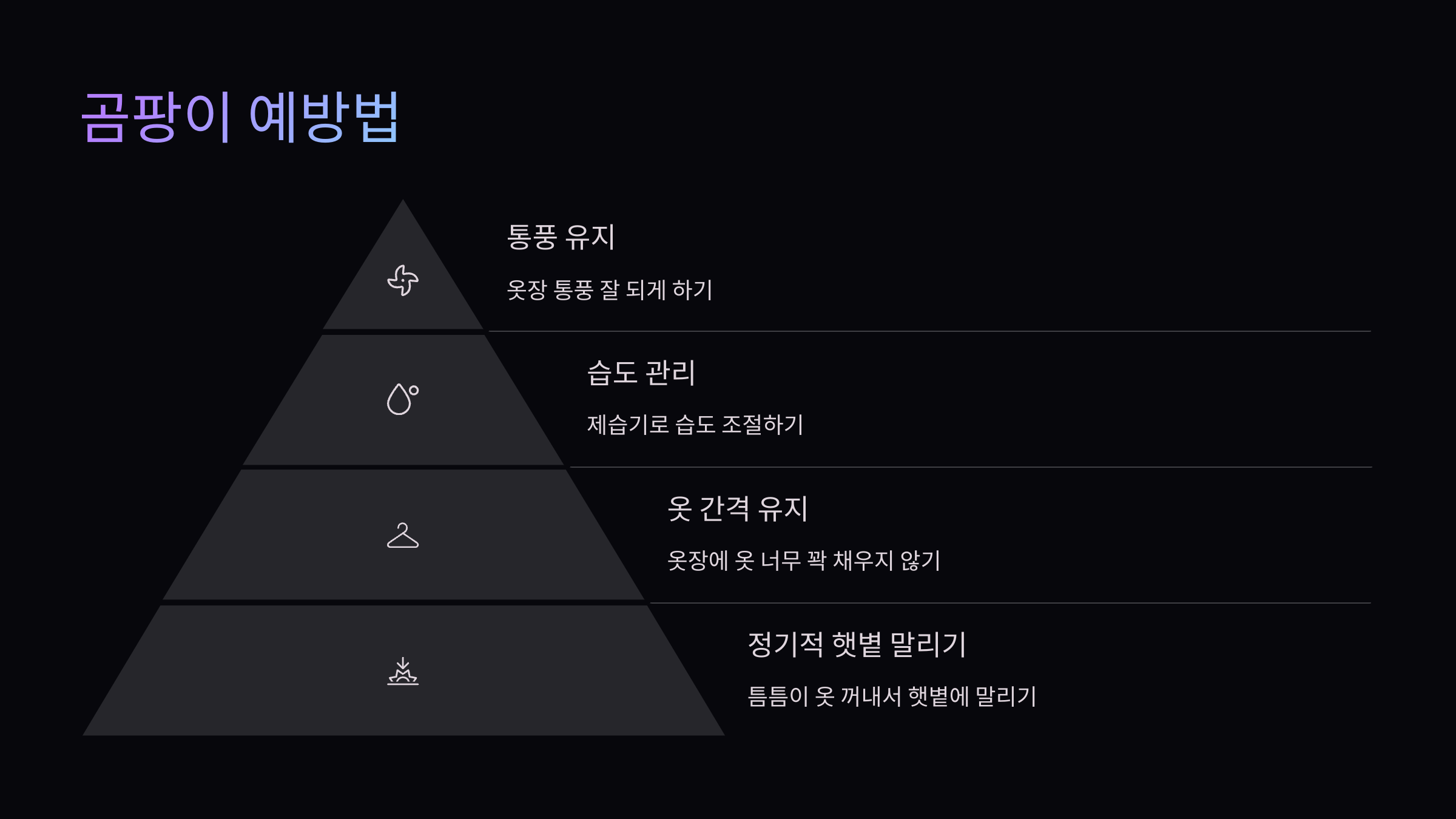 곰팡이