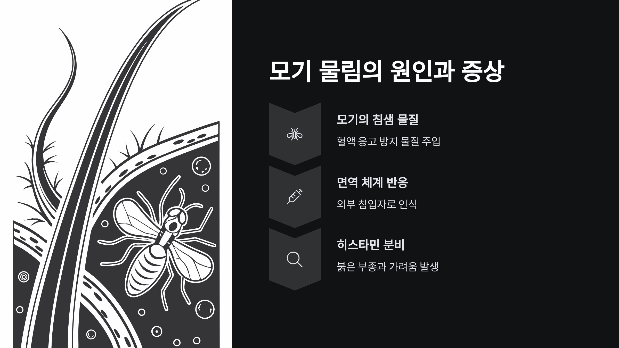 모기-물렸을때