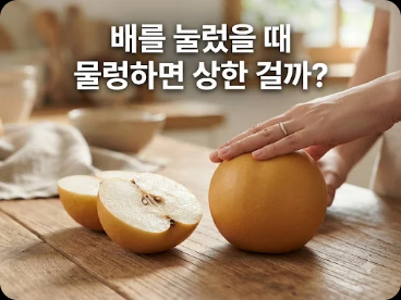 배를 눌렀을 때 물렁하면 상한 걸까?