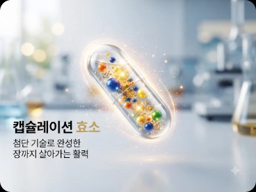 캡슐레이션 효소 효능과 복용법은?